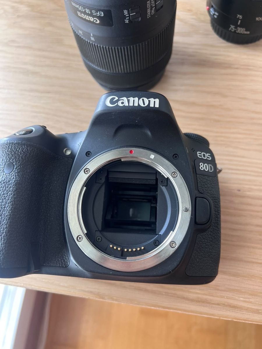 Canon Fotocamera: Canon EOS 80 D – Nuovo (secondo la descrizione) da Cham venduto da debsfuchs 2
