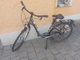 Pegasus Piazza Damen-Citybike