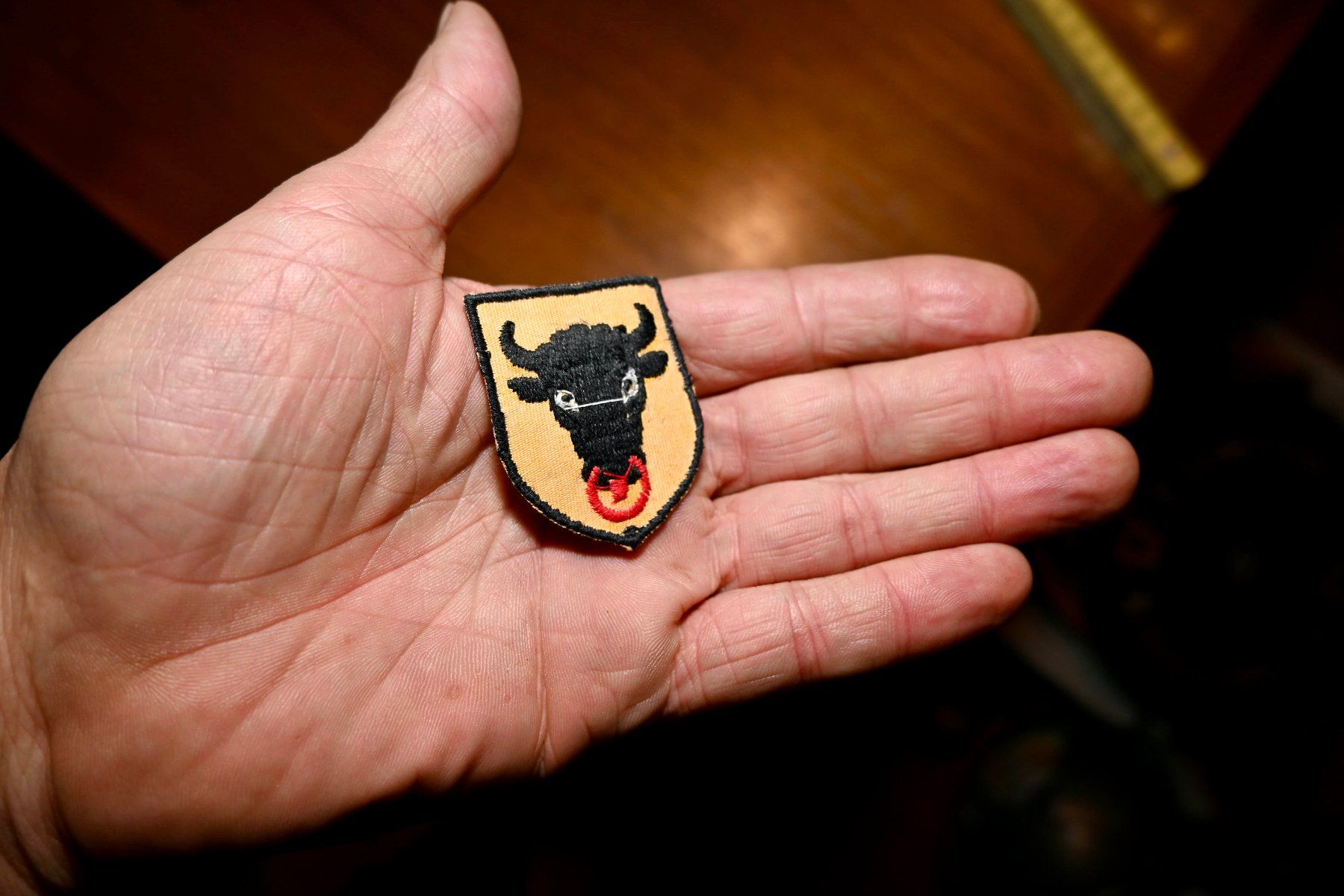 Swiss Placchette & Badge: WAPPEN Uri klein PATCH badge AUFNÄHER – Usato da Pfaffhausen venduto da mono_rec 2