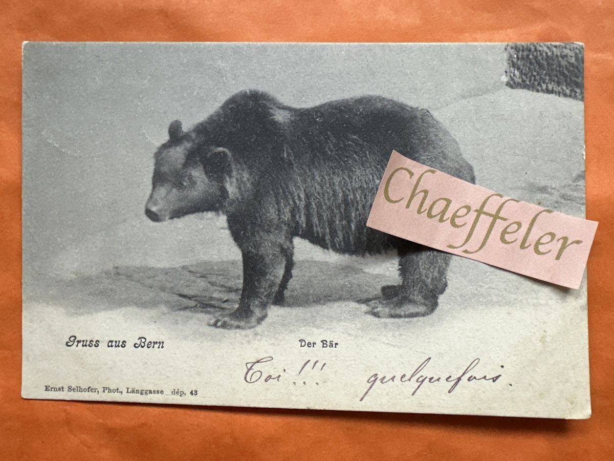 Cartes postales: 1906 Gruss aus Bern. Der Bär  – D'occasion à Zürich par Chaeffeler