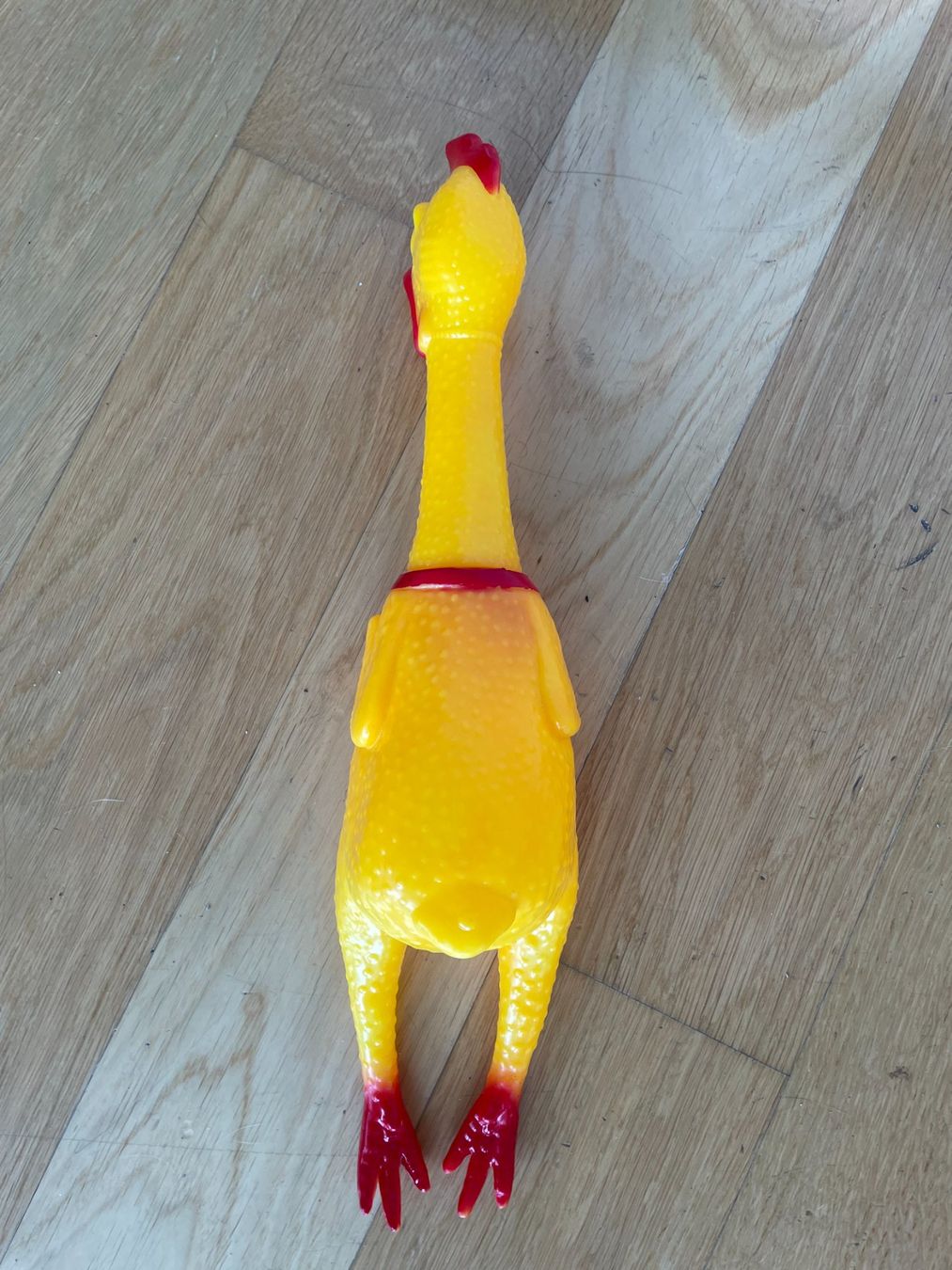 Giocattoli: Poulet coineur jouet – Usato da Petit Lancy venduto da gil_hr6v 1