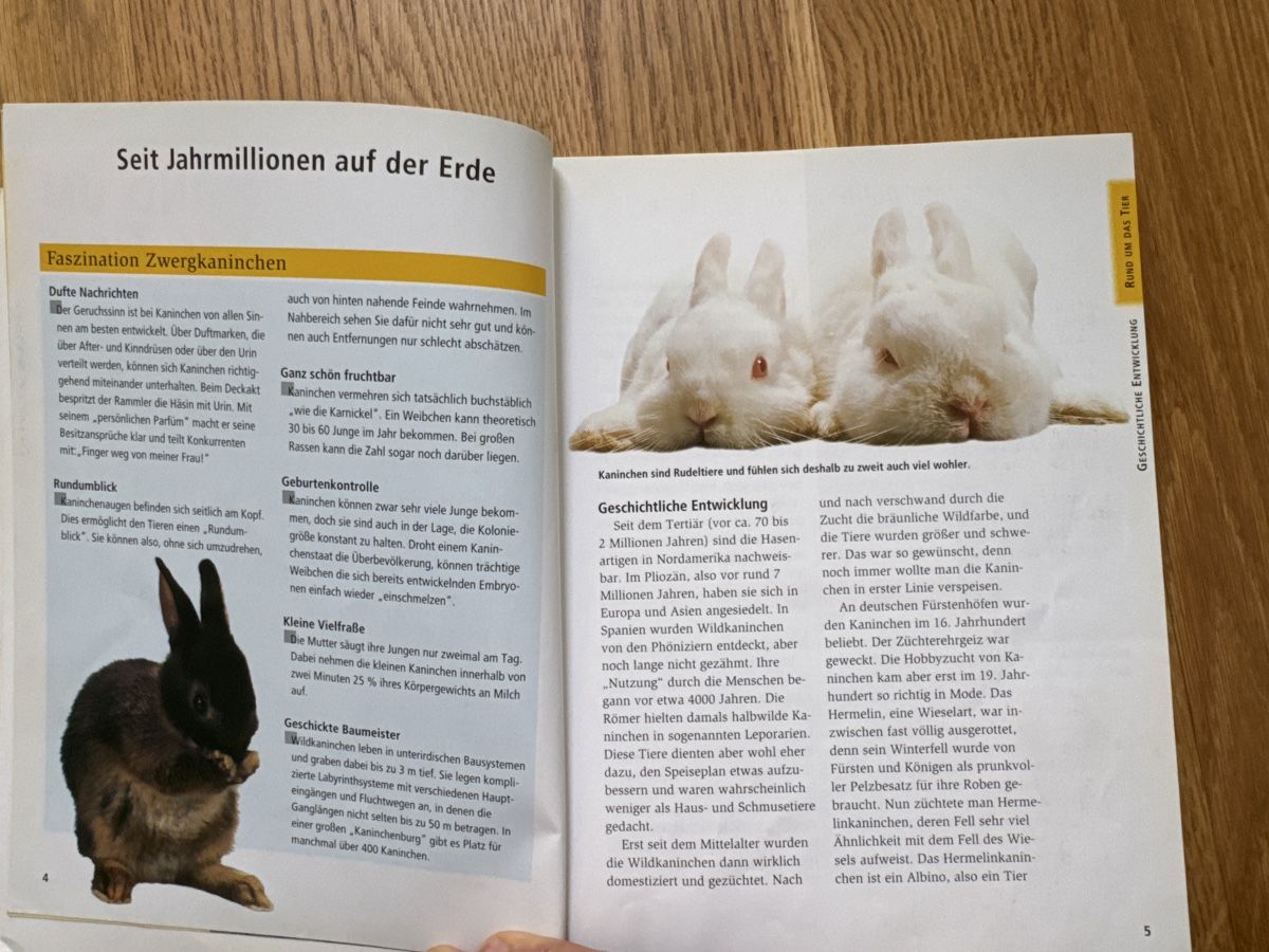 Libri: Buch:Meine Zwergkaninchen – Usato da Riedholz venduto da emm_22qn 3