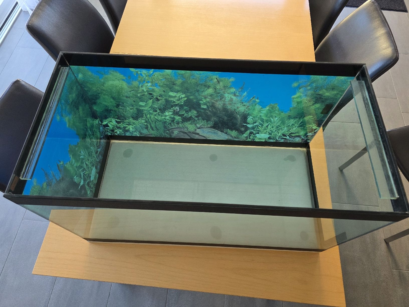 Acquari: Aquarium 100l mit Beleuchtung – Usato da Schafisheim venduto da su_999 4