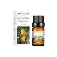 XO Hochwertiges wasserlösliches Duftöl 10ml (BERGAMOT)