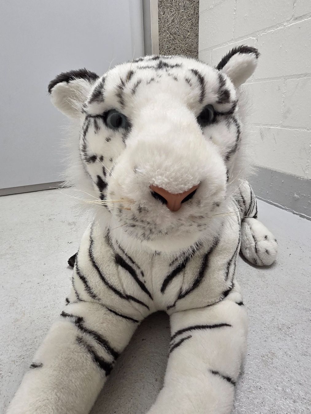 Giocattoli: Weisser Tiger,  Plüschtier Gross – Usato da Winterthur venduto da trise80 5