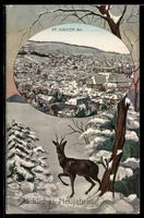 AK St. Gallen, Blick über die Stadt, Rehbock im Winterwald