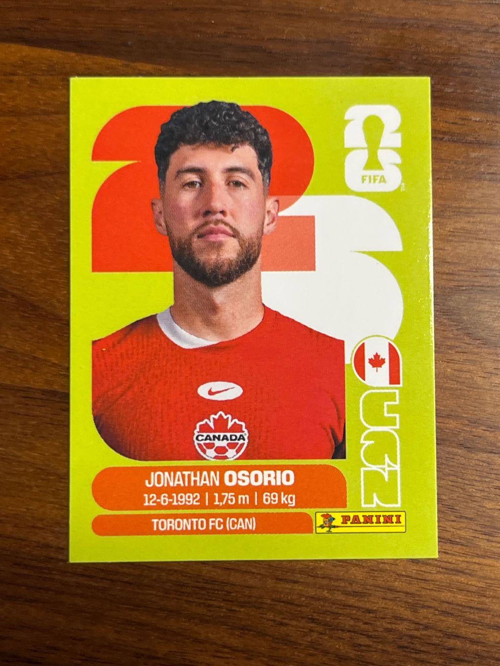 Panini Carte collezionabili: CAN 12 Panini WM26 – Nuovo (secondo la descrizione) da Au ZH venduto da blurayundvideospiele