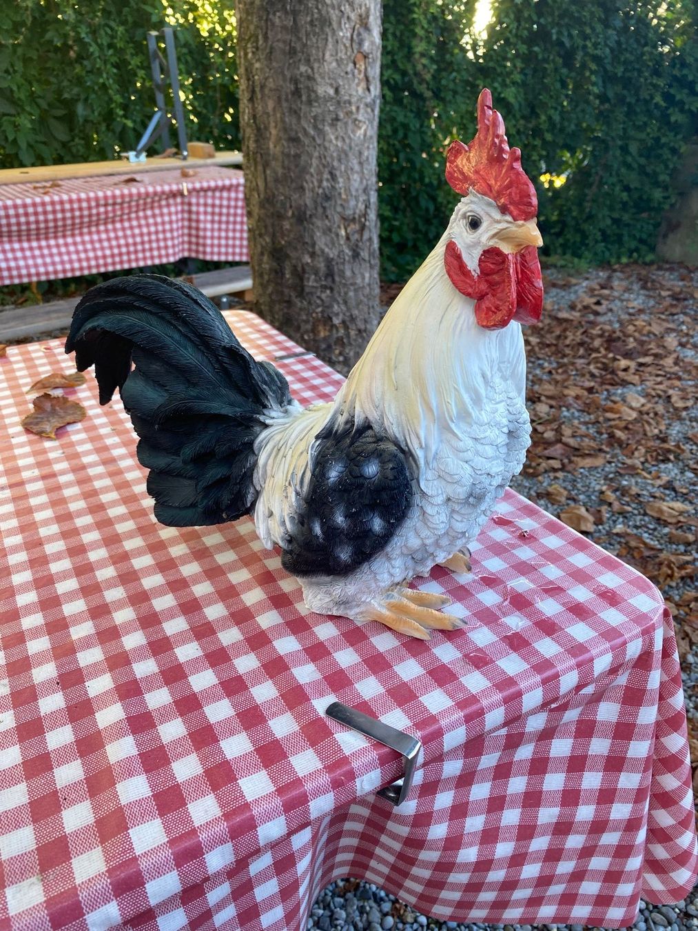 Tutte le decorazioni: Deko Huhn – Usato da Wädenswil venduto da BS540 1