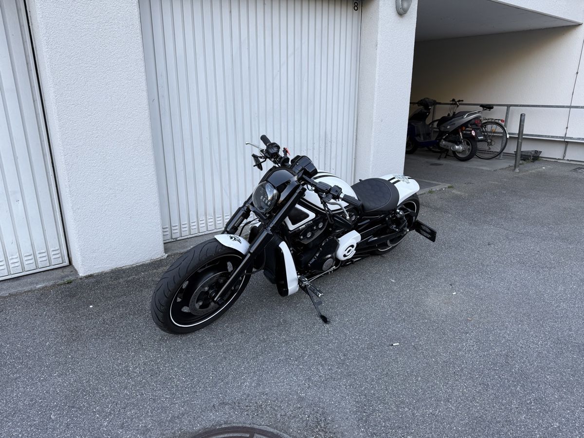 Harley-Davidson Chopper: Harley Davidson Night Rod Special – Usato da Flums venduto da m-m.a22 1