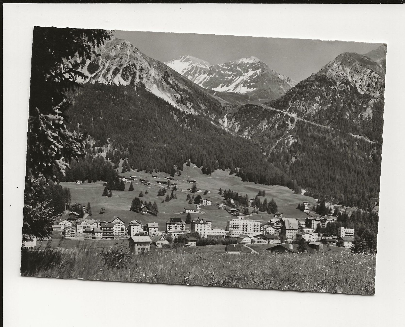 Cartoline postali: AK ca.1960 Lenzerheide 1500 m ü. M. – Usato da Greifensee venduto da 315WDO