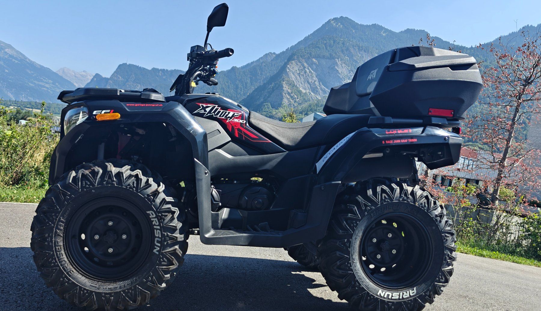 ATV / Quad: Loncin X Wolf 300 – Usato da Trimmis venduto da 0004