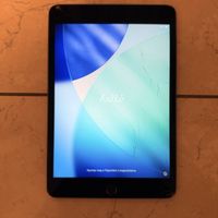 Apple iPad mini 5 64GB Space Grau (Display Defekt)