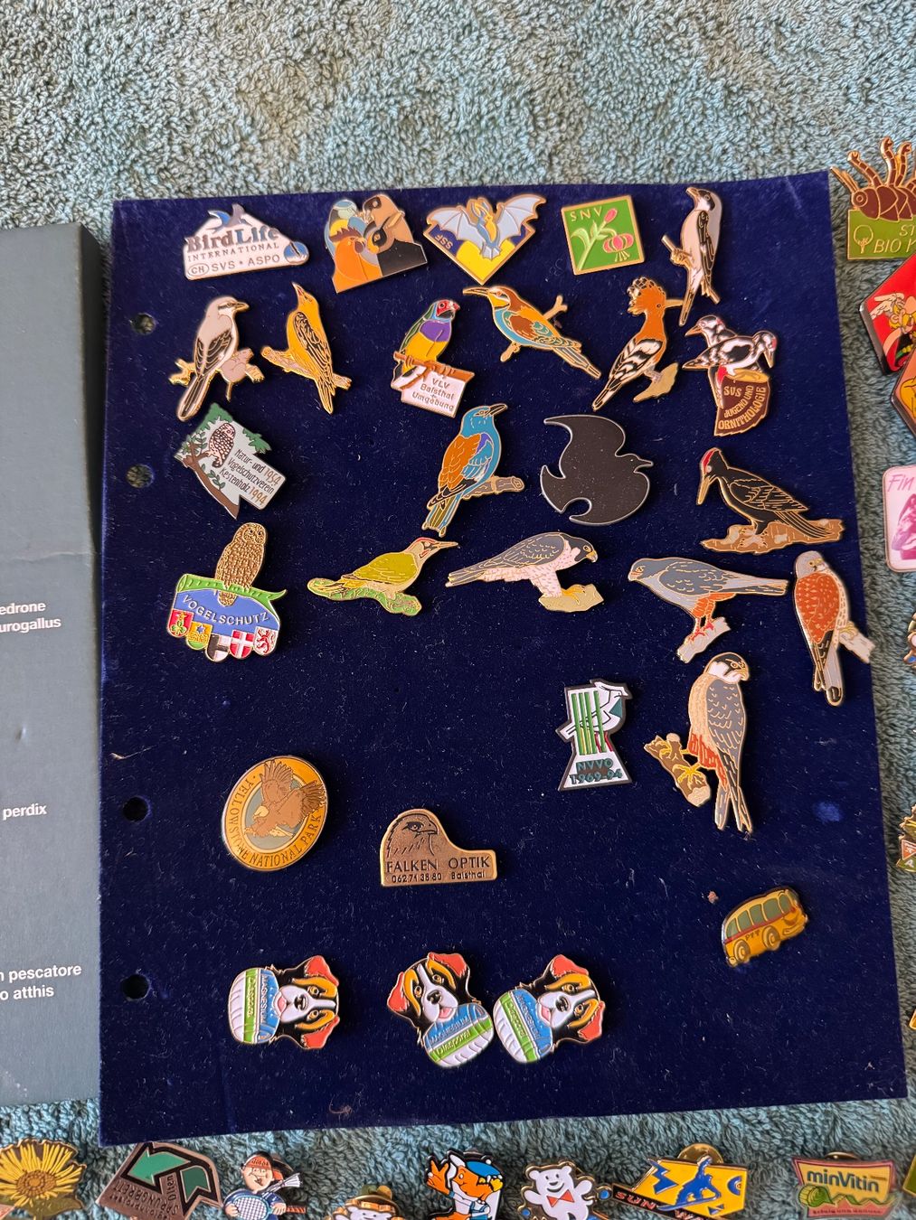 Anhänger: Pin- Sammlung #2 – Gebraucht aus Kestenholz von cvx_889vv 3