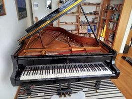 Steinway and Sons Modell B211 Flügel