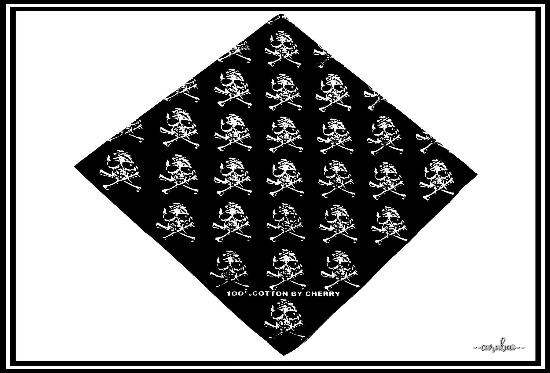 Foulard & Sciarpe: Bandana / Skulls & Bones / Nr. C-999 – Nuovo (secondo la descrizione) da Winterthur venduto da -carabao- 3