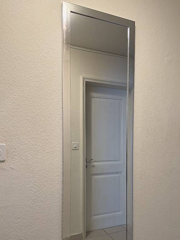 Spiegel: Wand- Stehspiegel "silber" – Gebraucht aus Zürich von dig_7v7m 1