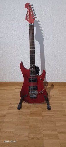 Washburn Strumenti musicali: E-Gitarre – Usato da St. Gallen venduto da tho_9mwf