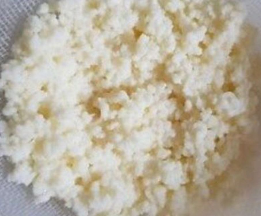 Lebensmittel & Spezialitäten: Milchkefir 15-20 gr – Gebraucht aus Hallwil von Perle431