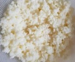 Milchkefir 15-20 gr