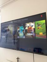 LG Fernseher 55“ zoll smart