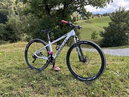 Mountainbike 29 Zoll - Ghost Tacana Pro 6 MTB Grösse S