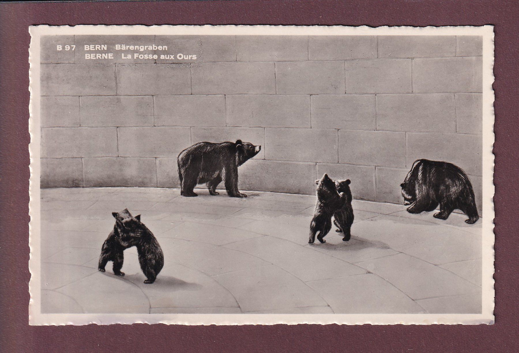 Cartoline postali: BERN - Bärengraben – Usato da Pully venduto da nicecards