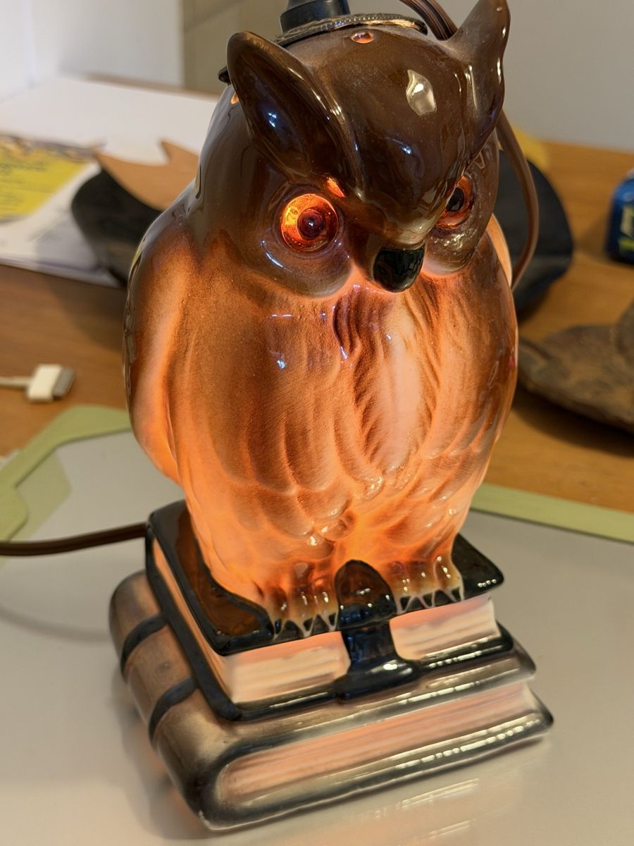 Lampade: ORIGINAL AEROZON Rauchverzehrer Lampe Eule Vintage – Usato da Konolfingen venduto da petzipetz 1