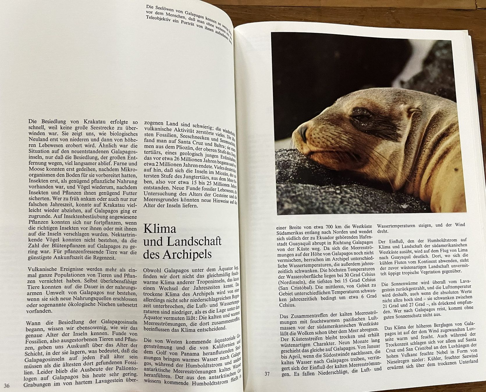 Libri: Silva Verlag, Zoo Galapagos, 1973 – Usato da Oftringen venduto da Vucki 7