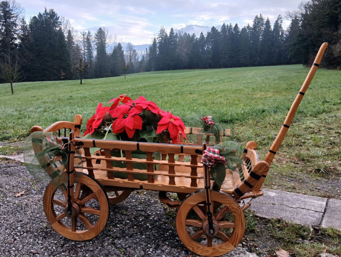 Tutte le decorazioni: Leiterwagen Handarbeit – Nuovo (secondo la descrizione) da Ruswil venduto da Waldhuesli