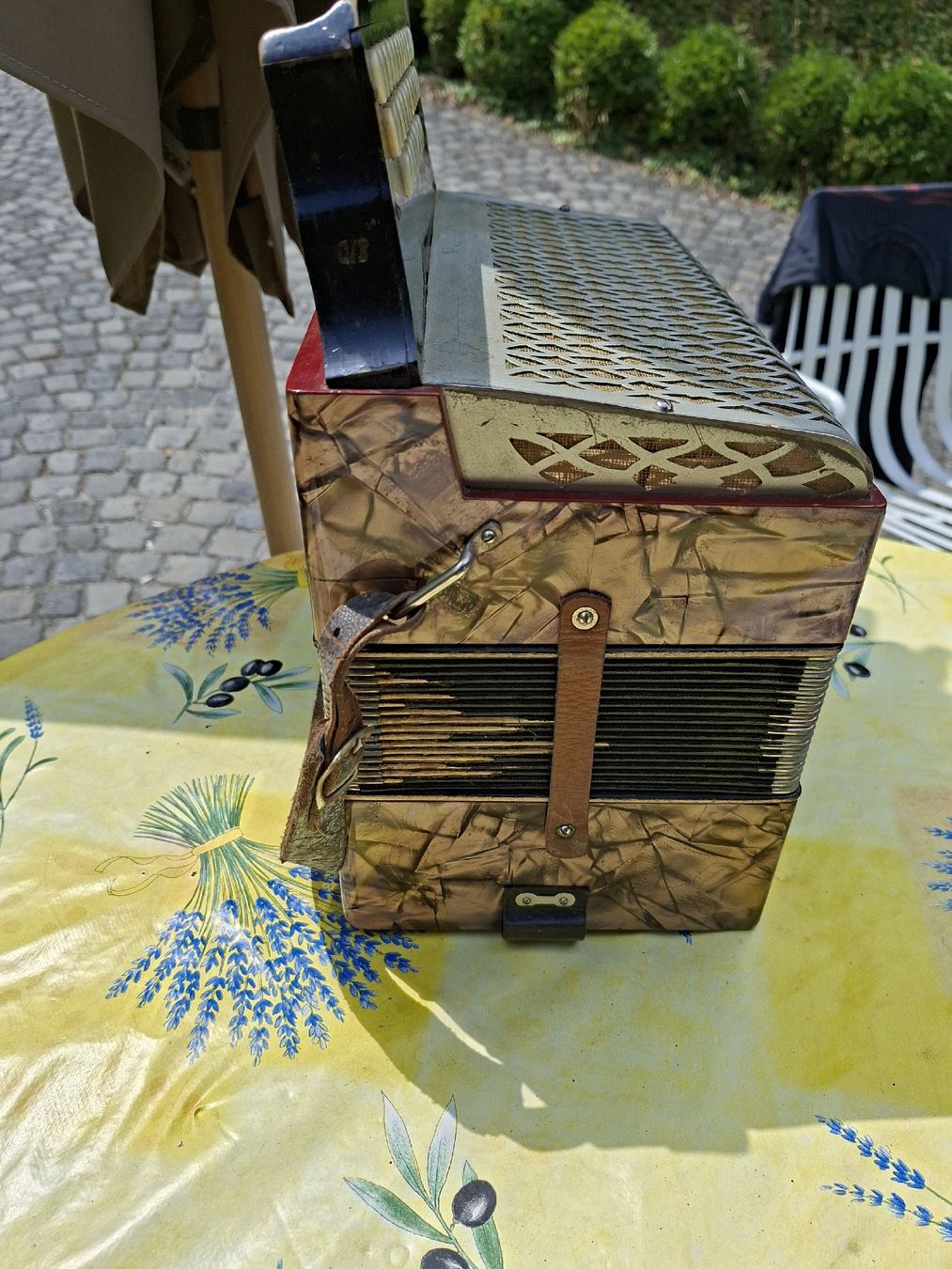 Hohner Strumenti musicali: Hohner Handorgel mit Noten und Tasche – Difettoso da Gasel venduto da cher01 5