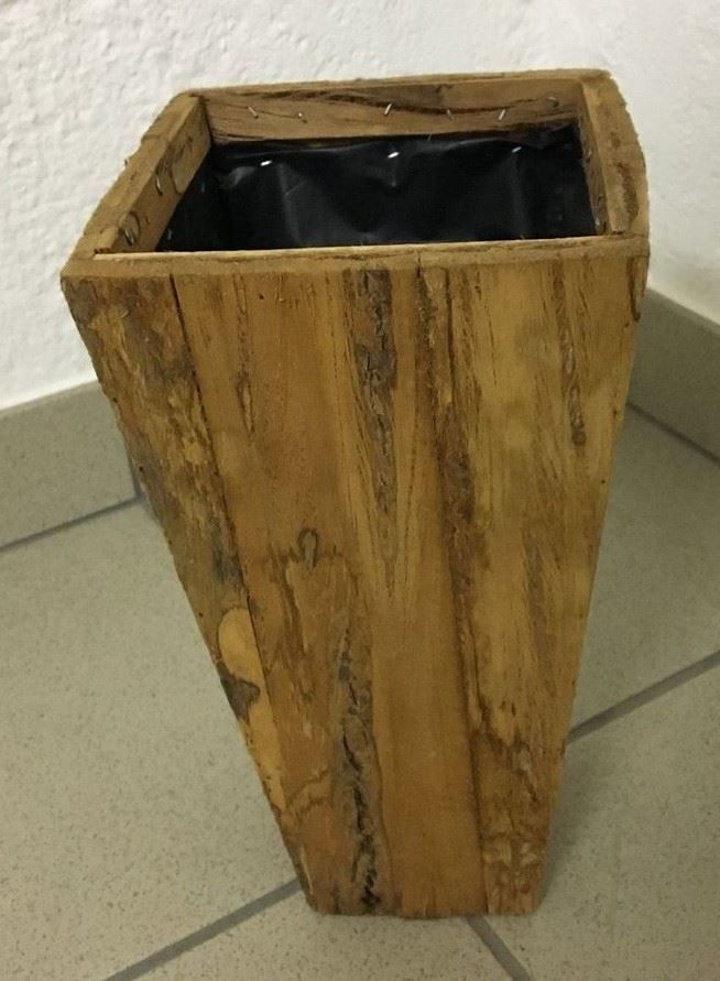 Piante & sementi: Holz Topf mit Buchs Kugel ... – Nuovo (secondo la descrizione) da Chur venduto da Jacki09 2