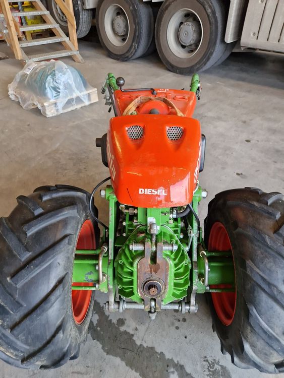 Agria Kaufen auf Ricardo