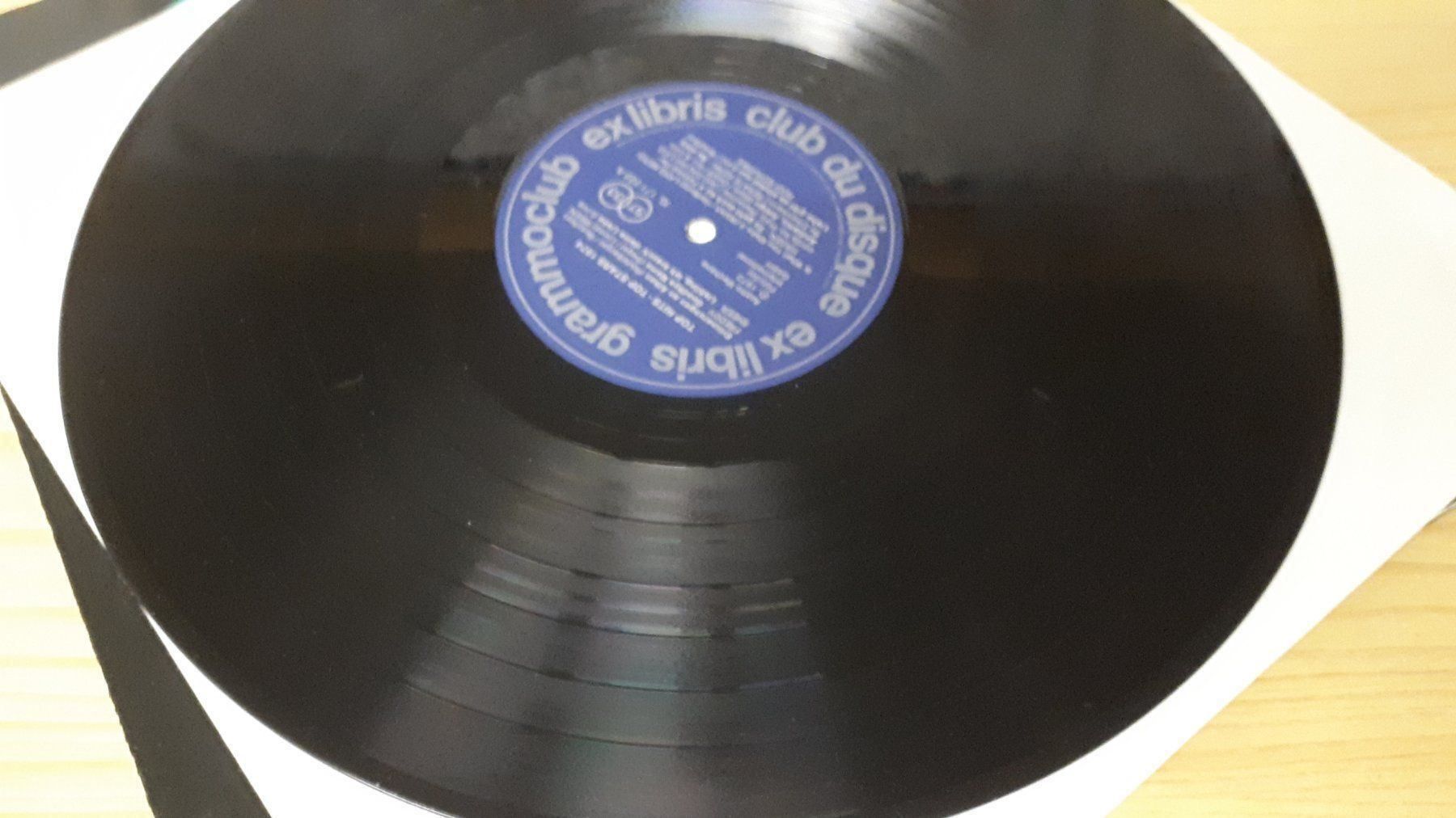 Dischi in vinile: Top Hits-LP – Usato da Liestal venduto da Stephanoceras1 3