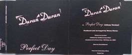 DURAN DURAN - PERFECT DAY
