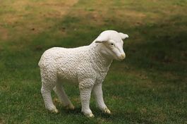Mouton en résine ht. 60 cm