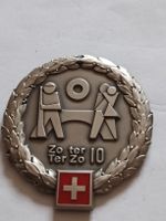 insigne béret Zoter Ter Zo 10 armée suisse 