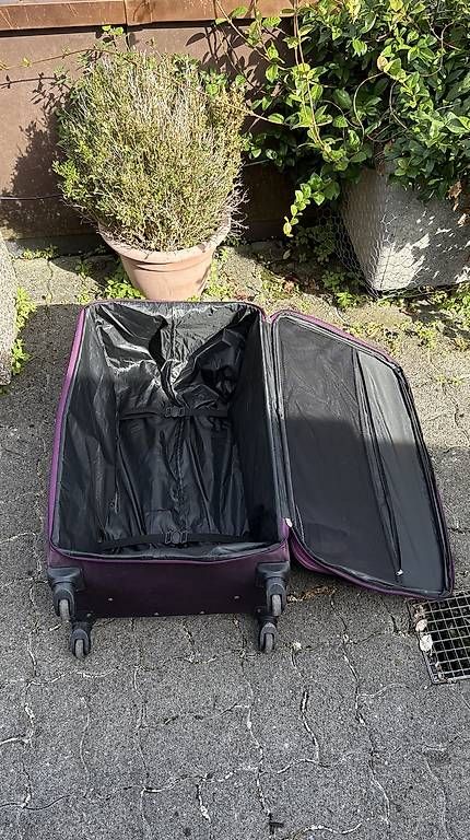 Valigie: Reisekoffer Gross – Usato da Sempach venduto da philip_luethi 1