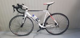 Herren Rennvelo Focus Alluminium "Variado"
