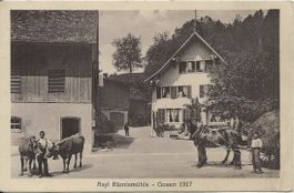 Rämismühle ZH Zell  Lanwirtschaft 1931 sehr gut erhalten