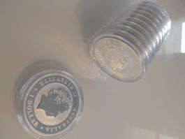 10 x unze 1 Oz Kookaburra 2014 1 Dollar Australien Neu