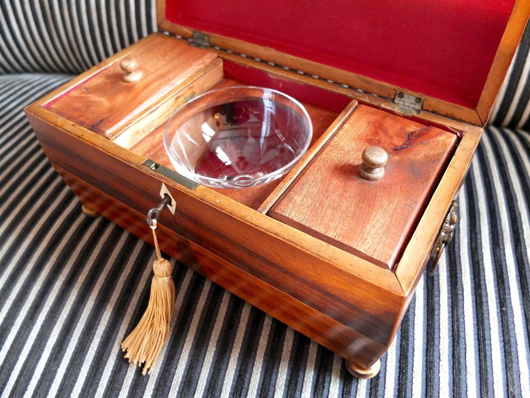 Barattoli: B0115 Tea Caddy/Tee-Schatulle mit Löwenköpfen Regency ~1820 – Usato da Horgen venduto da Antiqueboxes 1