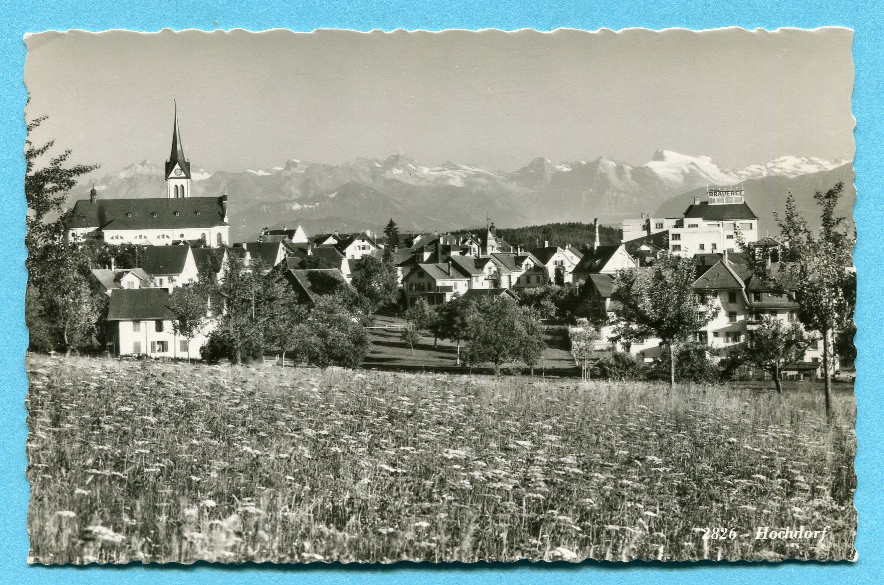 Cartes postales: Hochdorf – Neuf (Voir description) à Opfikon par Prophila