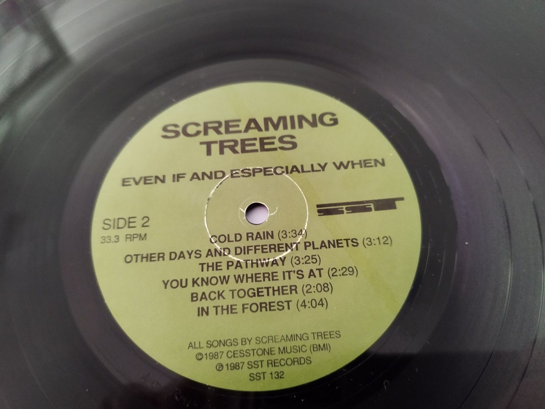 Dischi in vinile: Screaming Trees - Even If And Especially When, Vinyl rar – Usato da Lupfig venduto da fred-feuerstein 2