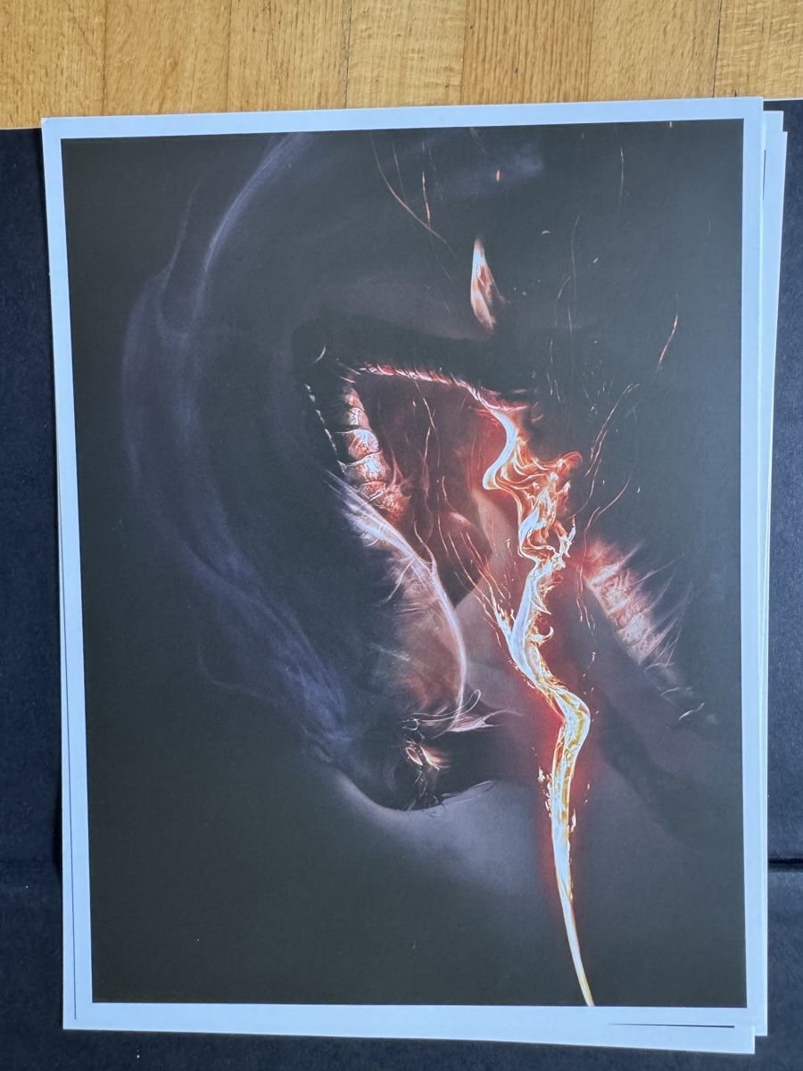 Livres: Dark Souls Trilogy Compendium Buch mit Drucken – D'occasion à Rüti ZH par Tsepela 7