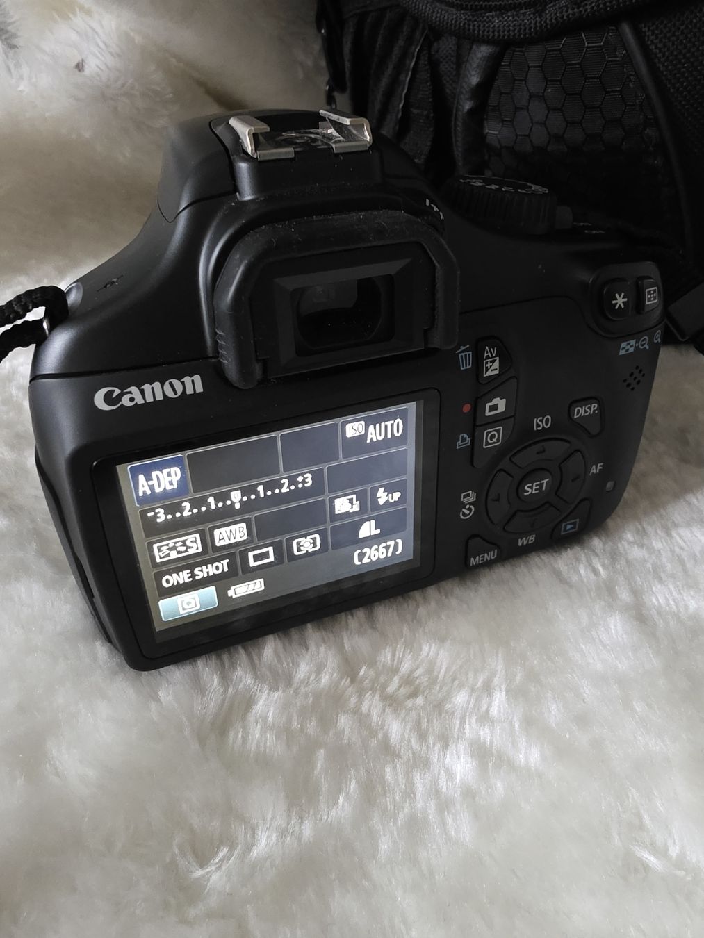 Canon Kamera: Canon EOS 1100D Spiegelreflexkamera mit Zubehör – Gebraucht aus Adlikon von Tami2019 6