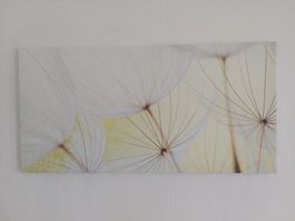 Schönes Leinwandbild Blumen weiss Deko Wohnzimmer