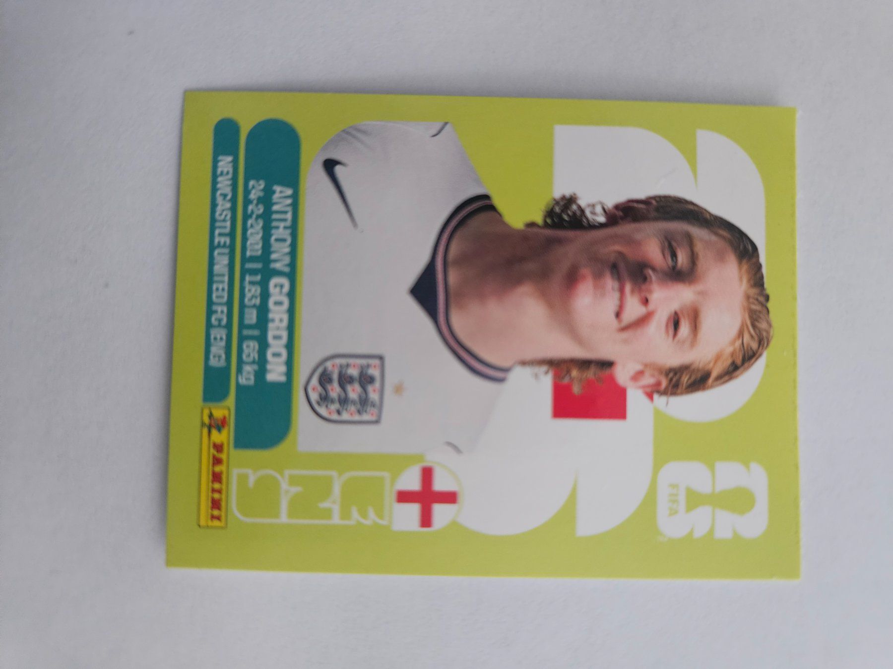 Panini Cartes à collectionner: ENG 15 – D'occasion à Würenlingen par Dinli