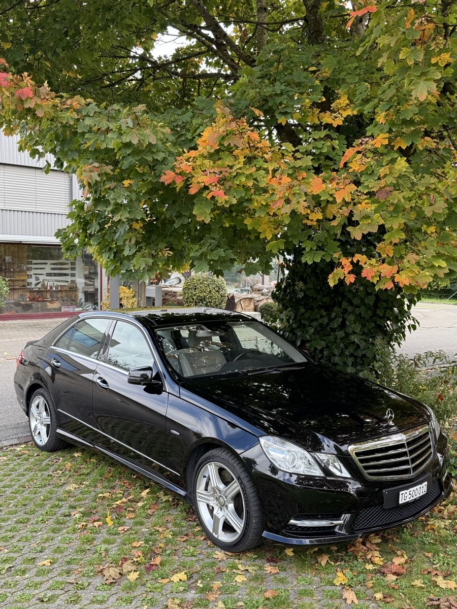Mercedes-Benz Automobili: Mercedes E500, 2011 – Usato da Berg TG venduto da sil_5prc 6