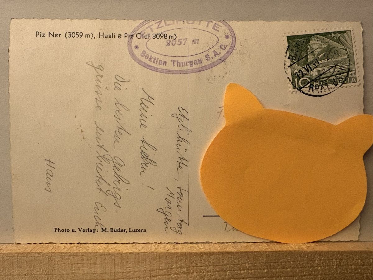 Cartoline postali: AK von Piz Ner – Usato da Rümlang venduto da Brieftaube1 1