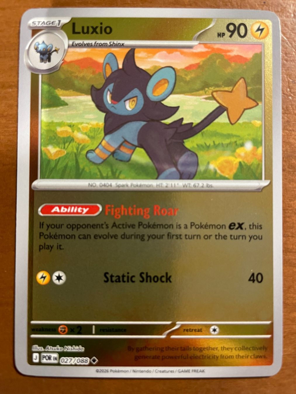 Pokémon Carte collezionabili: Pokemon Luxio Reverse (Versand gratis) – Nuovo (secondo la descrizione) da Chur venduto da Angerson